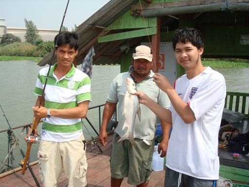 ปลาเค้าที่บางไทร