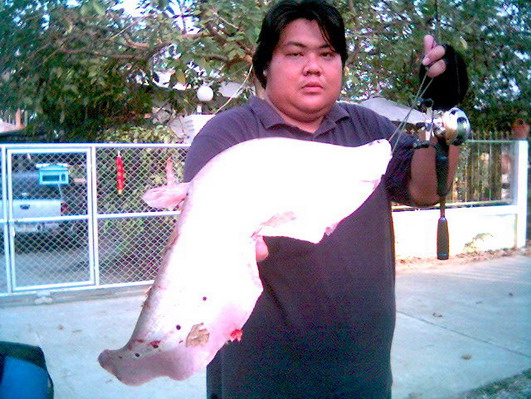 เด็ดๆ กับน้องกราย.......