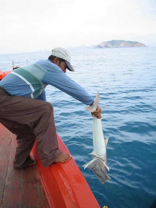 แรงชราทีม กับไต๋อี๊ด[กุ้ง] แสมสารไม่มีวันลาก่อน