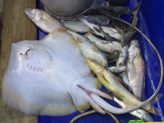  5ชม.บนเรือยอร์ช ณ.บางปะกง