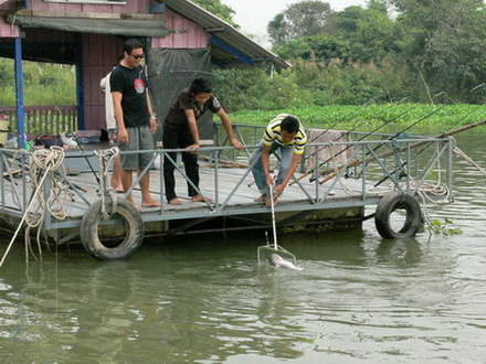 อัพเดท เรือนแพฟิชชิ่ง  เสาร์ที่ผ่านมา