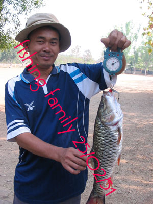 ทะเลสาปแม่ปิง ชั่วโมงทอง