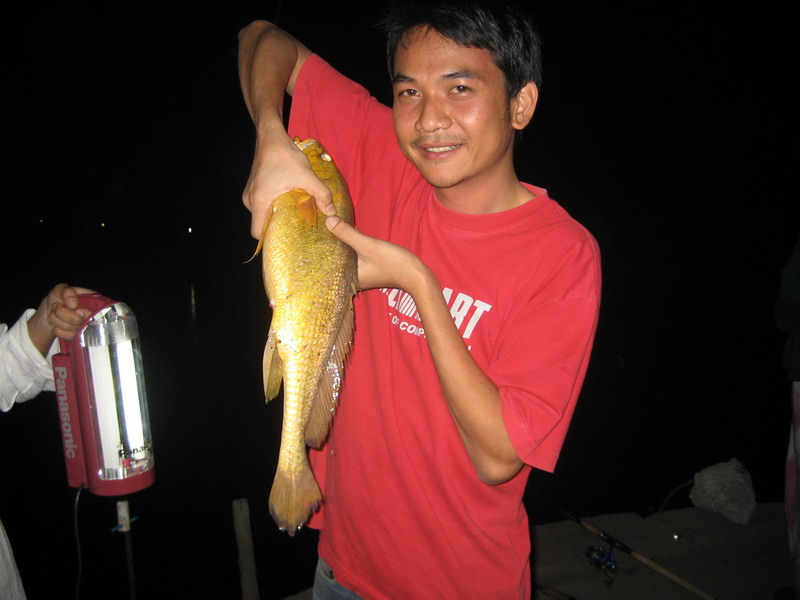 หางกิ่วตัวงาม13ค่ำ(05/03/2008)ก่อนวันพระ ท่าสะอ้าน
