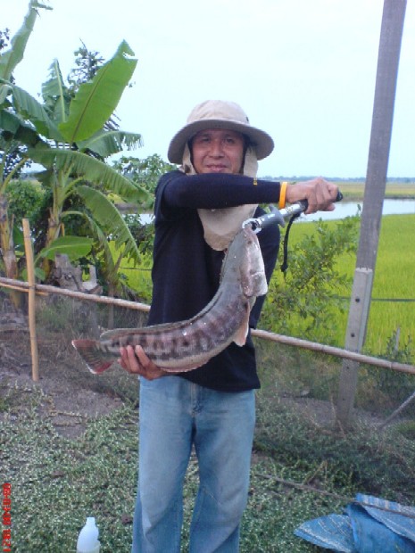 รอกลั่นที่เสนา2