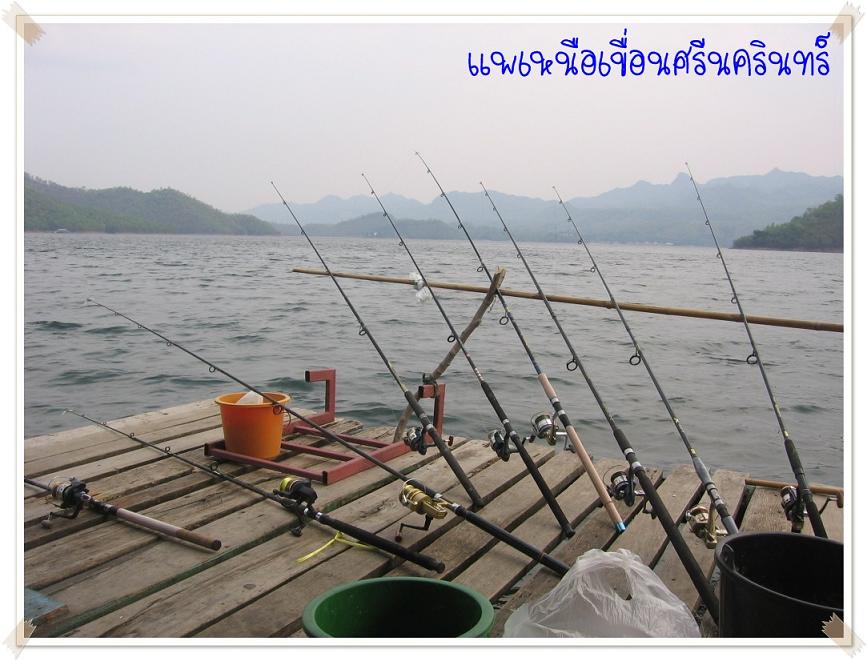 มา 3 ได้ 4 ที่แพวันทนีย์ เหนือเขื่อนศรีฯ