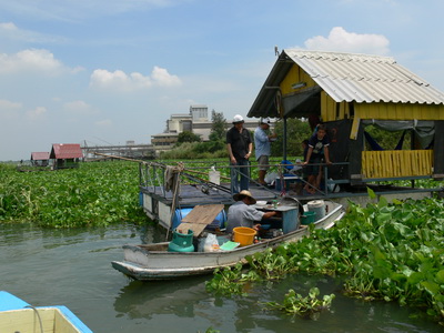 เรือนแพฟิชชิ่ง อัพเดท31มี.ค. ถึง7เมษา