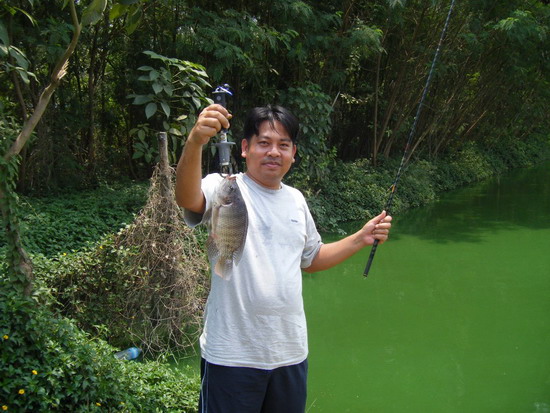 รวมปลาเกล็ดหมายเด็ด