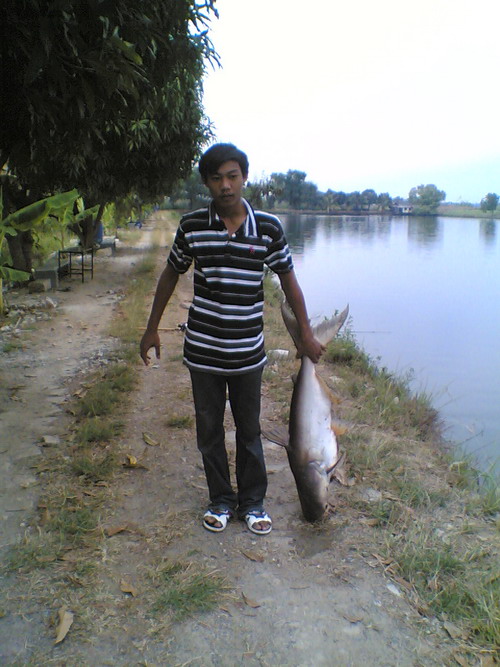 บีกน้อย