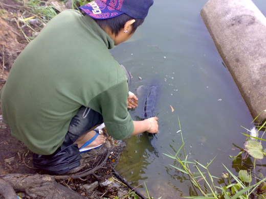 สมาชิกใหม่รายงานตัวคับ หลังจากที่ทดลองโพสต์ไปแล้ว