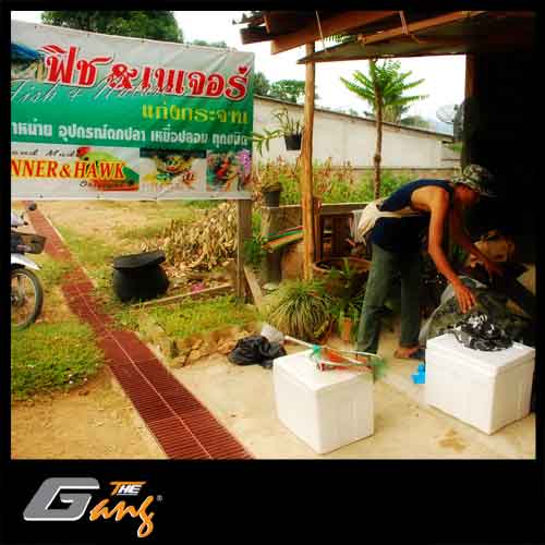 กระสูป The Gang