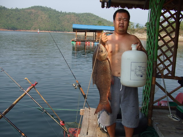 เขื่อนศรีฯ กาญจนบุรี  แพอยู่ดี เป็นแพตกปลา เล่นน้ำ