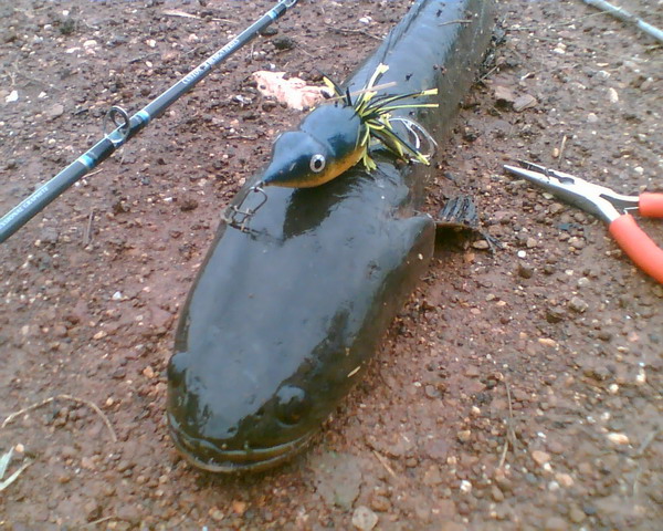 Test  รอก+เหยื่อ NEW