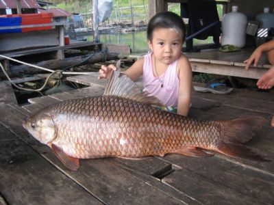 หลายเดือนที่ผ่านมา..กับแพเขาแหลม
