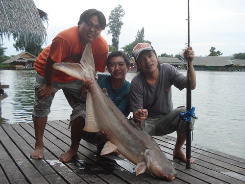 ไม่ได้ไปมาหลายปี(บึงสำราญ)