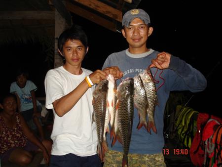 ชะโด/กระสูบ/ยี่สก....ที่แพ kp mermaid