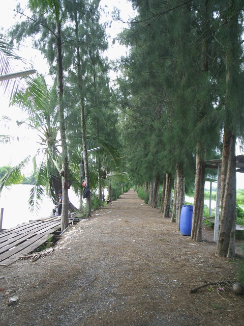 วันดีดี...ที่บ่อสวนสน