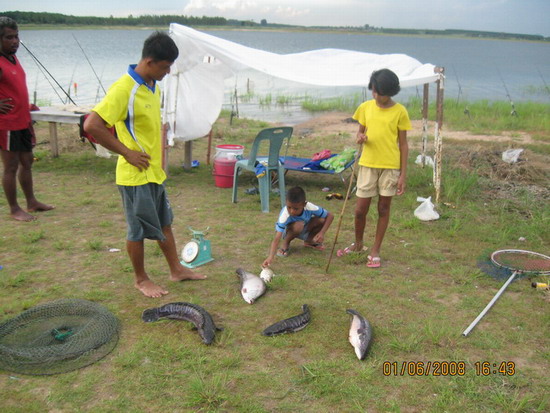 น้ำขึ้น-เรือมา-ปลาก็เข้า  (ที่นี้..ประเทศไทย)