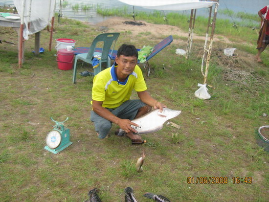 น้ำขึ้น-เรือมา-ปลาก็เข้า  (ที่นี้..ประเทศไทย)