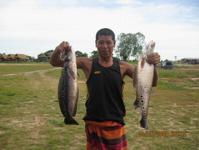 น้ำขึ้น-เรือมา-ปลาก็เข้า  (ที่นี้..ประเทศไทย)