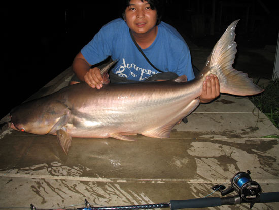มิตรภาพและเพื่อนที่ดีที่ เงาน้ำ