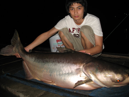 มิตรภาพและเพื่อนที่ดีที่ เงาน้ำ