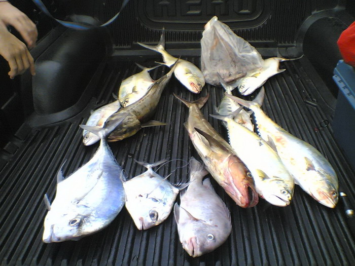รวมผลงาน The Angler