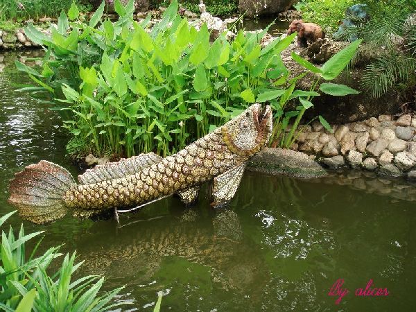 ระหว่างทางไป ปากน้ำ(4)