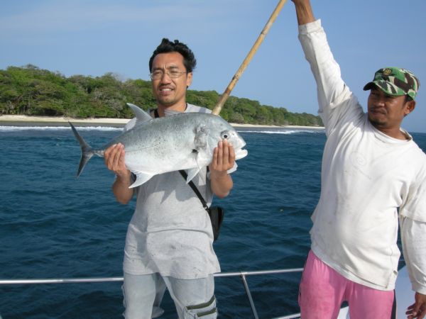 GT Giant Trevally - บีนัวงัน - Indonesia