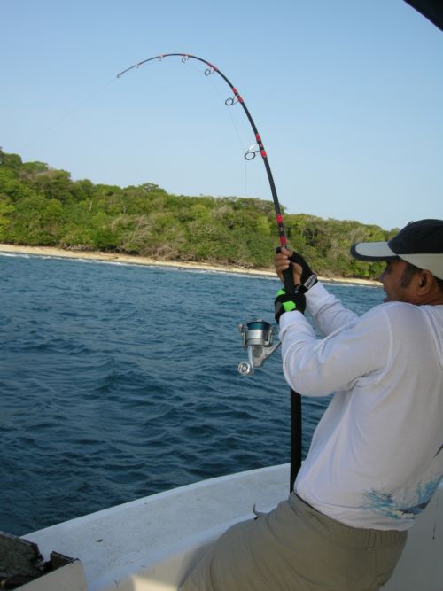 GT Giant Trevally - บีนัวงัน - Indonesia