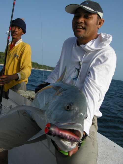 GT Giant Trevally - บีนัวงัน - Indonesia