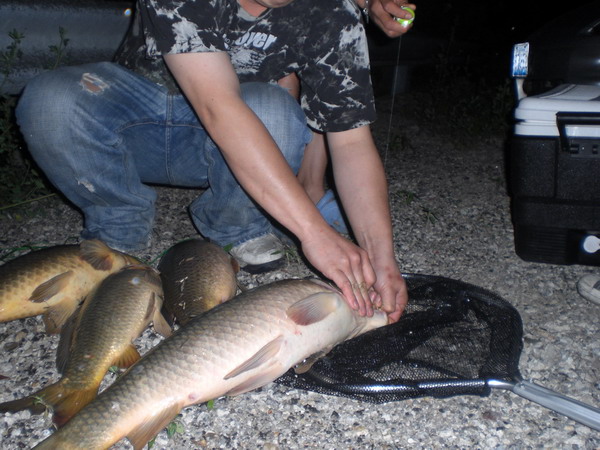 ILLinois River  Carp  กับ น้าเหน่ง