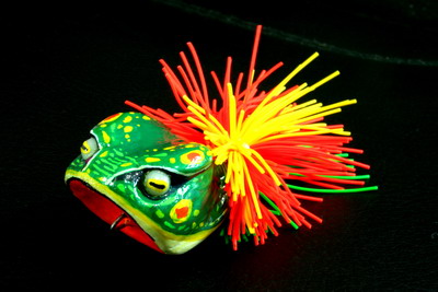 ทำเองตัวแรกครับตั้งชื่อว่า AmaZon Frog...!!!