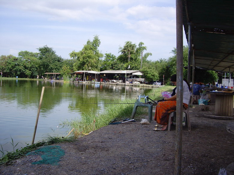 ตกปลาบ่อในอ้อมกอดธรรมชาติ