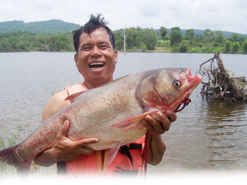 ธรรมชาติ ห้วยหลีผี  จ.อุดรธานี อ.หนองวัวซอ