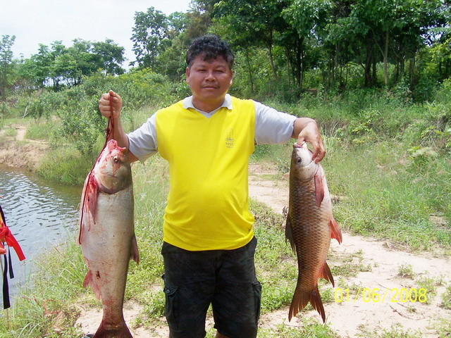 ธรรมชาติ ห้วยหลีผี  จ.อุดรธานี อ.หนองวัวซอ