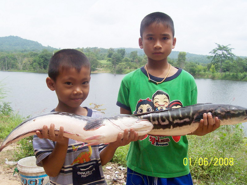 ธรรมชาติ ห้วยหลีผี  จ.อุดรธานี อ.หนองวัวซอ