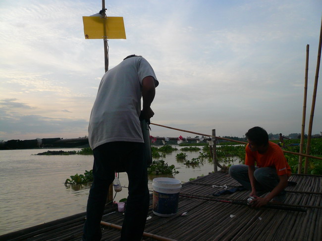 2สะหายเพื่อนเกอร์แพลุงหมาย...บางไทร