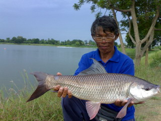 บ่อตกปลาลุงเอก สาขาที่  1.