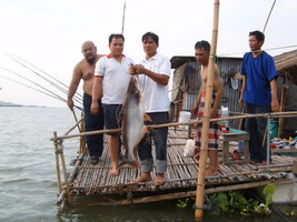                แพลุงพร้อม    บางไทร