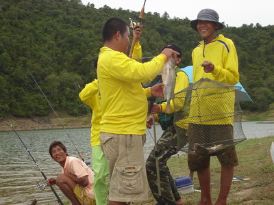 ซุ้มพนัส  เย่อยี่สกใหญ่ แก่งกระจาน  3