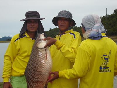 ซุ้มพนัส  เย่อยี่สกใหญ่ แก่งกระจาน  3