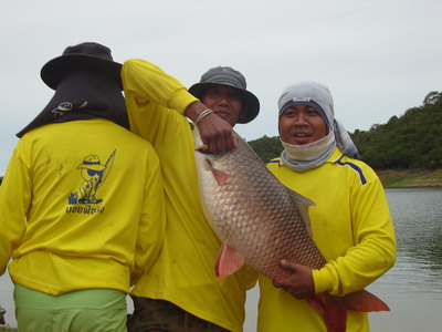 ซุ้มพนัส  เย่อยี่สกใหญ่ แก่งกระจาน  3