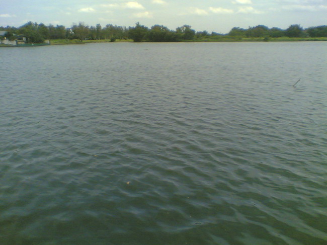 ในอนาคตบึงน้ำแถวรังสิต@