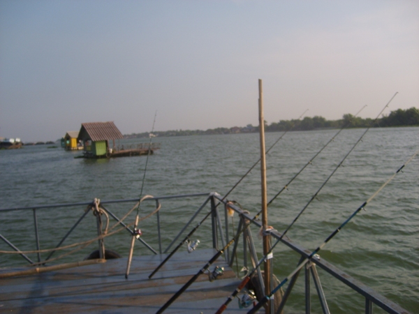 สวายเรือนแพ  บางไทร