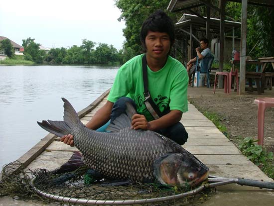 ขนมปังไส้ระบาดตั้งแต่ ฝั่งA ยัน ฝั่งB