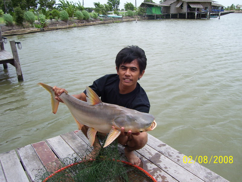 กลุ่มปลาเฮ้ย ณ. คล้ายจินดา ครั้งที่2