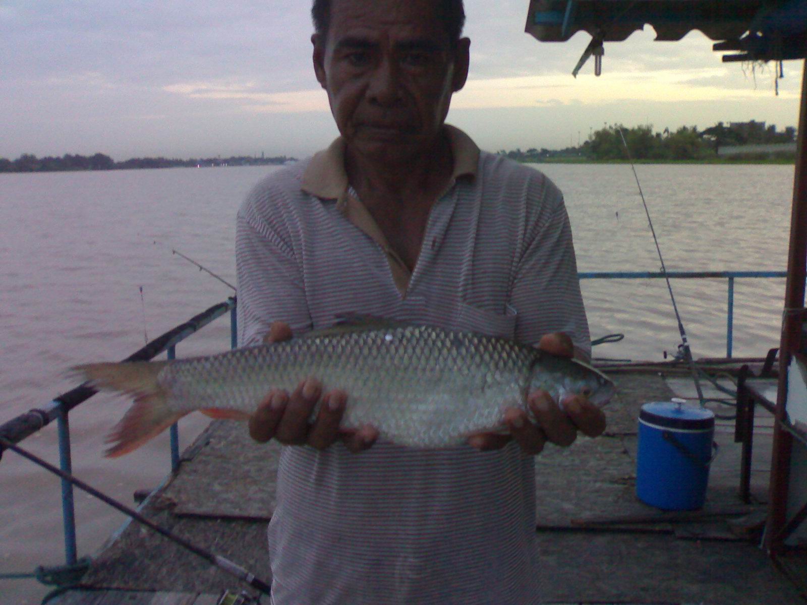 แพลุงรัตน์ บางไทร tel.0892329789