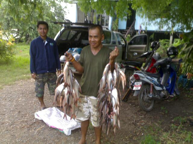 แพลุงรัตน์ บางไทร tel.0892329789