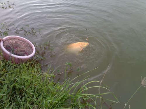 เทสอีกรอบที่ทุ่งกังหัน