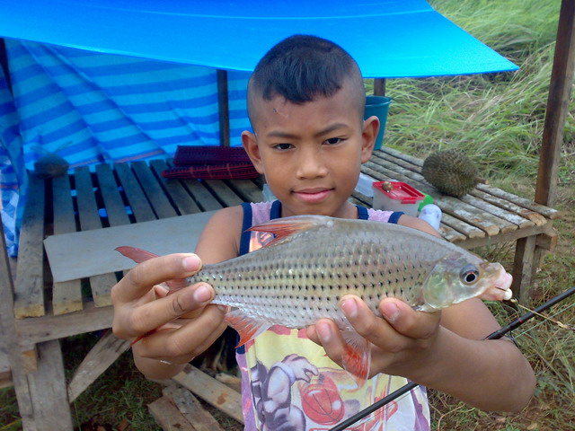 นิลที่อ่างเก็บน้ำคลองกะทูน อ.พิปูน จ.นครศรี